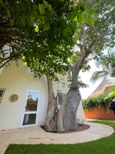 two trees in front of a white house at Agence Adjana Resort - Résidence du Port 3 in Sali Tapé