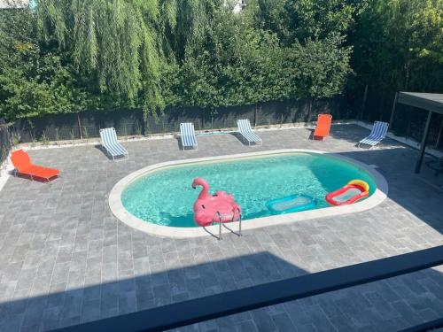 une piscine avec un flamant rose au milieu dans l'établissement Sky Residence Airport Therme Otopeni 5, à Otopeni