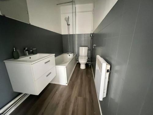 une salle de bain avec toilettes, lavabo et douche dans l'établissement Le Guebwiller proche centre, à Belfort