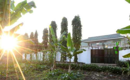 a house with the sun shining behind a group of trees at OYA Guest House in Usa River