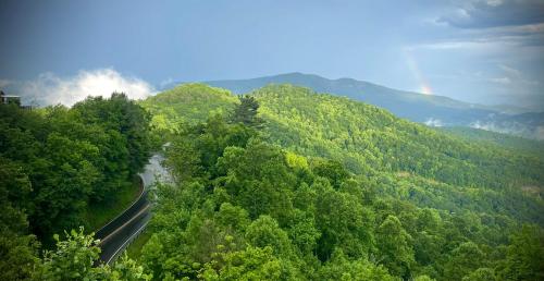 a road in the middle of a mountain with trees at Skyline Village Inn in Spruce Pine