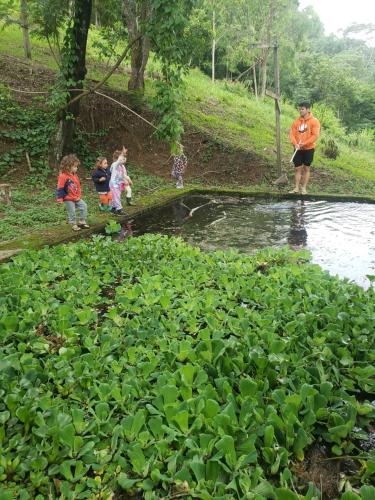 a group of children playing in a pond in a field at Sitio Santa Clara in Teresópolis