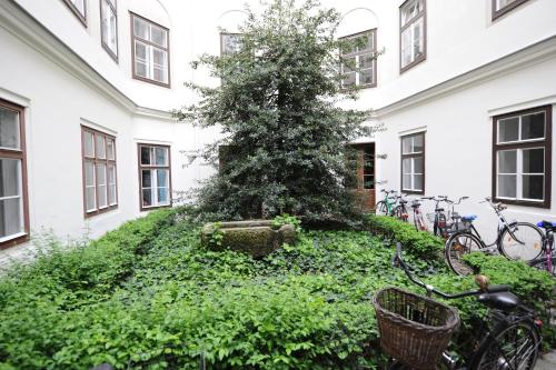 Brand New - City Apartment - Quiet - Top 14