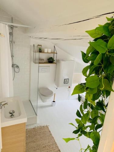 une salle de bain blanche avec des toilettes et un lavabo dans l'établissement Appartement en centre-ville, à Remiremont