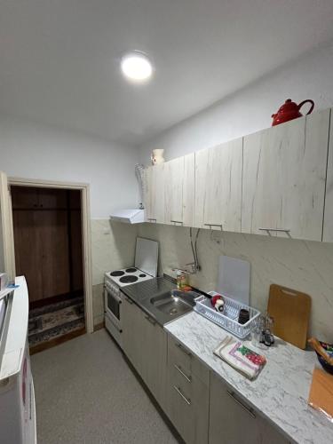 Kuchyň nebo kuchyňský kout v ubytování Vintage Apartman