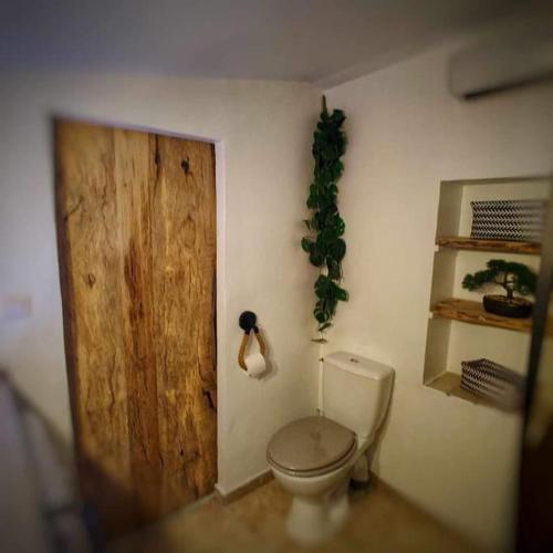 une salle de bain avec toilettes et porte en bois dans l'établissement Maison de campagne rénovée, à Puyvert