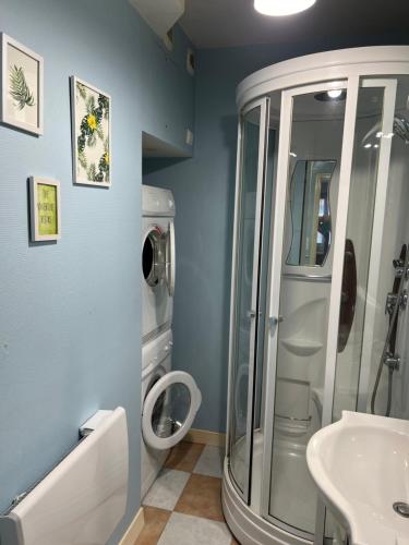 une salle de bain avec douche et lavabo dans l'établissement Appartement cosy, à Cherbourg en Cotentin