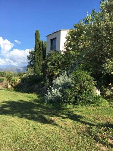 une cour avec une maison et quelques buissons et arbres dans l'établissement joli appartement, à Santa-Reparata-di-Balagna