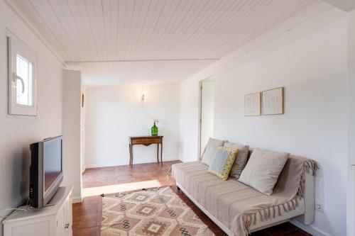a living room with a couch and a tv at Além Monte Retreat, Peaceful Hideaway on the Alentejo Coast in Colos