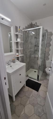 une salle de bain avec une douche, des toilettes et un lavabo dans l'établissement Joli studio, à Javerlhac-et-la-Chapelle-Saint-Robert