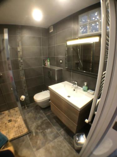 une salle de bain avec un lavabo, des toilettes et un miroir dans l'établissement Coquet studio avec grande terrasse, à Antibes