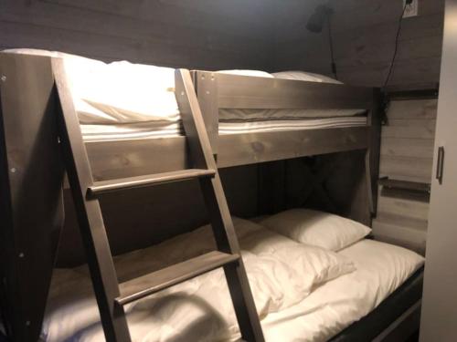 フネスダーレンにあるFunäsdalsfjällen för skidor, cykel, vandring och fiskeの二段ベッド2台&はしご付