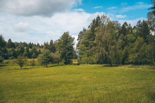 a field of grass with trees in the background at Apartmán Na Vrších in Nový Bozděchov