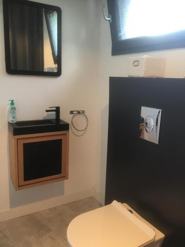 une salle de bain avec toilettes, lavabo et miroir dans l'établissement Appartement t3 calme avec jardin privé, à Anglet