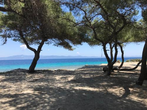 a beach with trees and the ocean in the background at Villa Palatina in Paliouri