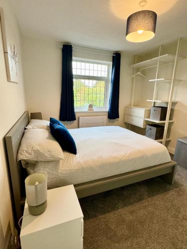 a bedroom with a bed with blue pillows and a window at Cosy Croft Cottage in Greasbrough