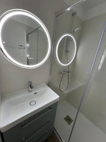 une salle de bain avec une douche, un lavabo et un miroir dans l'établissement Appartement en Brenne, à Vendoeuvres