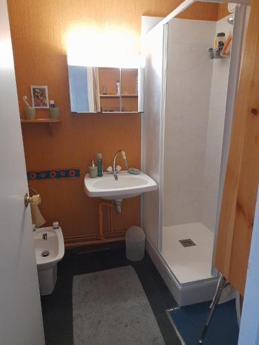 une salle de bain avec une douche, un lavabo et des toilettes dans l'établissement Renardière 3, à Montgenèvre