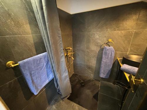 a bathroom with purple towels hanging on a shower at Villa Belle Epoque Saint-Raphaël in Saint-Raphaël