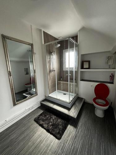 une salle de bain avec douche, toilettes et miroir dans l'établissement Maison de village 4 chambres, à Neuvy-sur-Loire