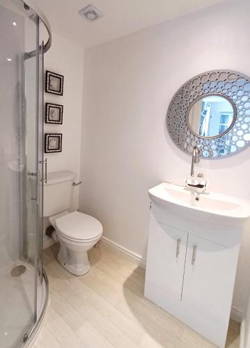 a bathroom with a toilet and a sink and a mirror at Tollymore Lodge in Newcastle