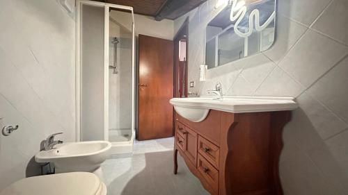 a bathroom with a sink and a toilet and a mirror at Agriturismo Mammarella in Altavilla Silentina
