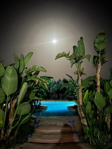 a swimming pool in a garden with plants at Le Domaine de Carole Marrakech in Akkara