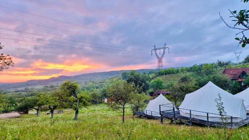 Příroda nedaleko luxury tent