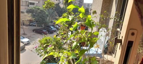 a window with a view of a street with cars at A room in an apartment in Nasr City, Cairo, near Azhar university , 15 minutes from Cairo Airport,غرفة بشقة بمدينة نصر بالقاهرة بالحي الثامن 15 دقيقة من مطار القاهرة و 7 دقيقة من معهد الفجر و 12 دقيقة لمعهد ابانة لتعليم اللغة العربية و 26 دقيقة لوسط البلد in Cairo