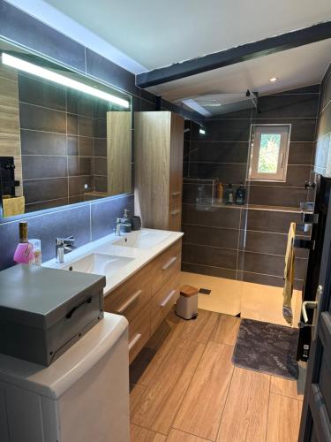 une salle de bain avec un lavabo et un grand miroir dans l'établissement Appartement cosy proximité barrage Lavalette et Yssingeaux, à Saint-Jeures