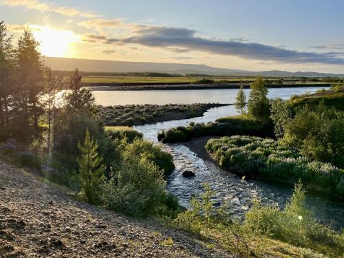 Un paisaje natural cerca de la casa de huéspedes