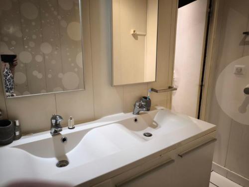 une salle de bain avec un lavabo blanc et un miroir dans l'établissement Jardin Montoulieu, à Toulouse