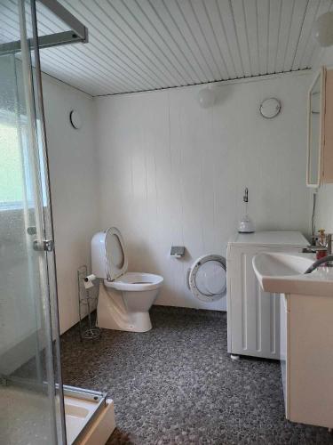 a bathroom with a toilet and a sink and a shower at Stockholm Saltarö-Skärmarö in Värmdö