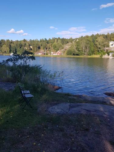 a bench sitting on the grass near a lake at Stockholm Saltarö-Skärmarö in Värmdö