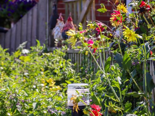 a garden with colorful flowers and a fence at The View in Faversham