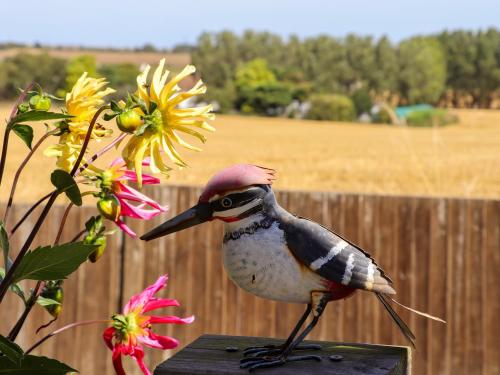 a bird statue sitting on a table next to flowers at The View in Faversham