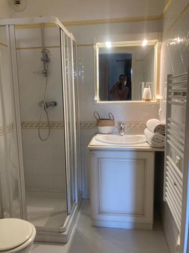 une salle de bain avec une douche, un lavabo et des toilettes dans l'établissement appartement T3 golf, à Mallemort