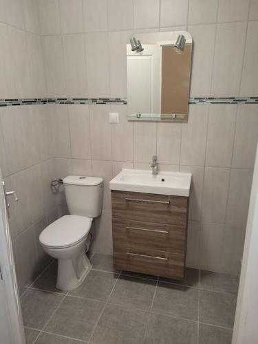 une salle de bain avec toilettes, lavabo et miroir dans l'établissement Studio proche centre-ville, à Scionzier