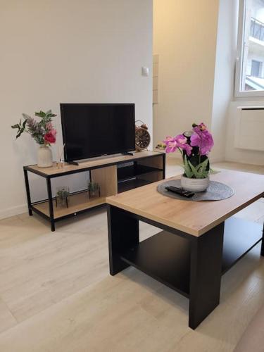 - un salon avec une télévision et une table fleurie dans l'établissement Studio proche centre-ville, à Scionzier