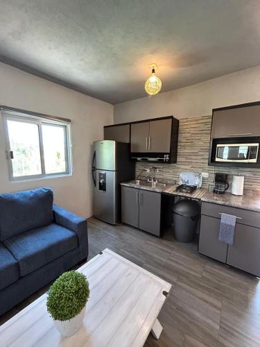 a living room with a couch and a kitchen at Tropical Oasis in San José del Cabo
