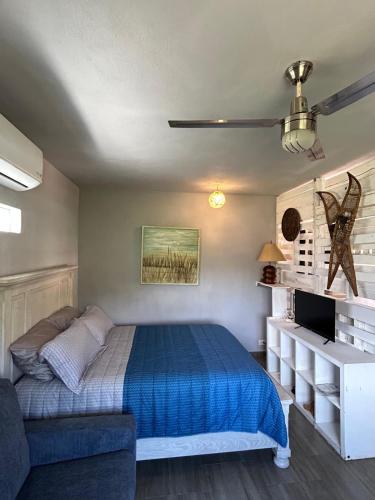 a bedroom with a blue bed and a couch at Tropical Oasis in San José del Cabo