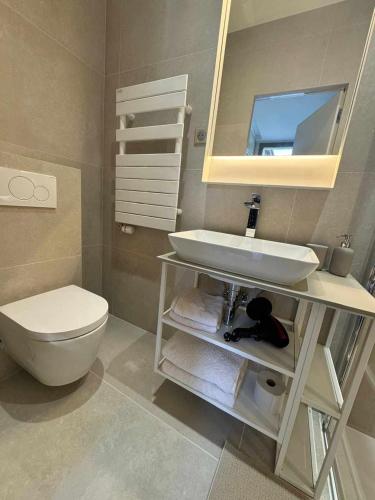 une salle de bain avec un lavabo, des toilettes et un miroir dans l'établissement Studio confortable refait à neuf, à Saint-Ouen