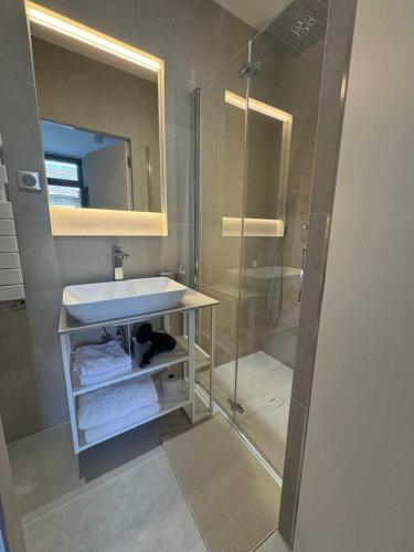 une salle de bain avec un lavabo et une douche dans l'établissement Studio confortable refait à neuf, à Saint-Ouen