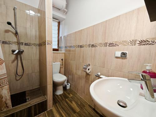 a bathroom with a sink and a shower and a toilet at Domek u Stocha in Poronin