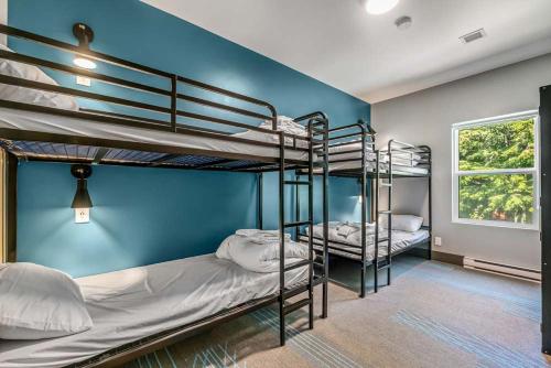 two bunk beds in a room with a blue wall at Nowhere Special Hostel in Rossland