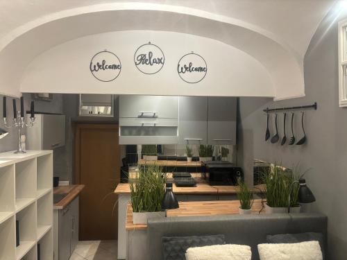 a kitchen with a couch and a counter with some plants at Studio Old Town in Maribor