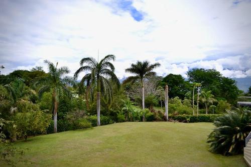 a park with palm trees and a green field at Magnifica finca santa fe de Antioquia in Santa Fe de Antioquia
