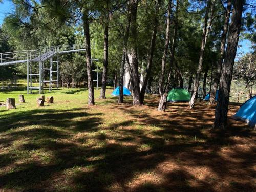 a group of tents in a park with trees at Parque Natural Barranca de los Jilgueros in Zacatlán