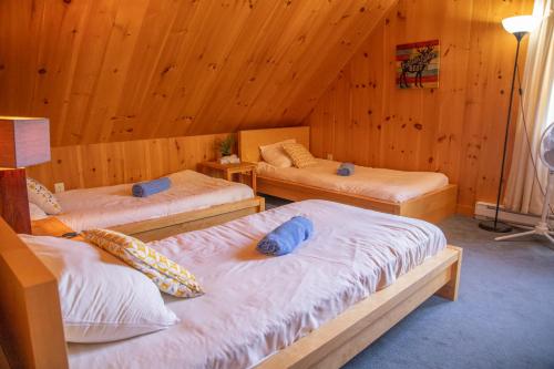 three beds in a room with wooden walls at Auberge Couleurs de France in Lac-Simon
