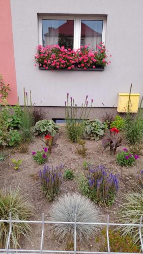 a flower garden in front of a building with flowers at Hory Opawskie in Głuchołazy